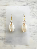 Natural Cowrie Shell Earrings