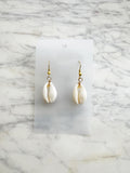 Natural Cowrie Shell Earrings